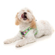 Fuzzyard Step-in Dog Harness (Sushiba) - Kohepets