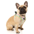 Fuzzyard Step-in Dog Harness (Sushiba) - Kohepets