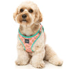 10% OFF: FuzzYard Step-In Dog Harness (Two-Cans)