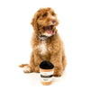 FuzzYard Take Away Coffee Plush Dog Toy - Kohepets