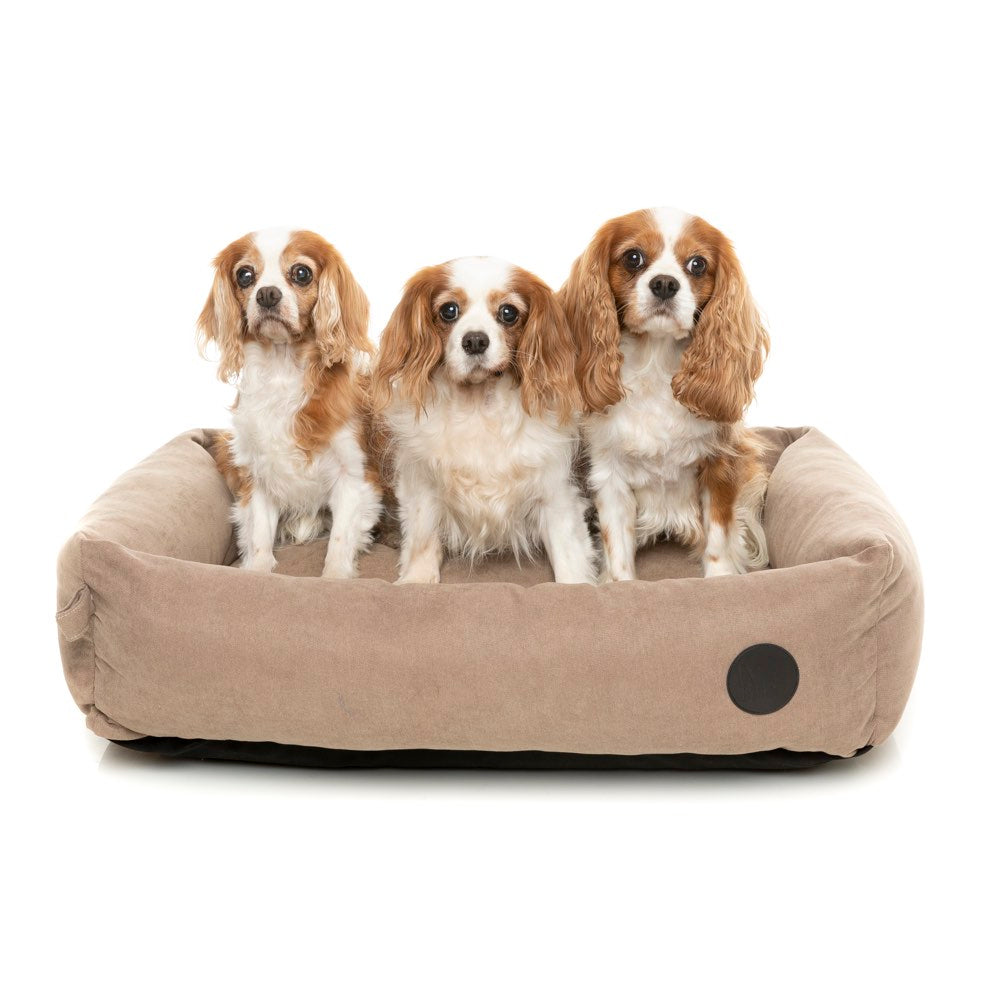 FuzzYard The Lounge Dog Bed (Mocha) - Kohepets