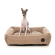 FuzzYard The Lounge Dog Bed (Mocha) - Kohepets