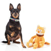FuzzYard Chase Plush Dog Toy - Kohepets