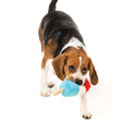FuzzYard Popsicle Plush Dog Toy (discontinued) - Kohepets