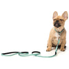 Fuzzyard Dog Leash (Tucson) - Kohepets