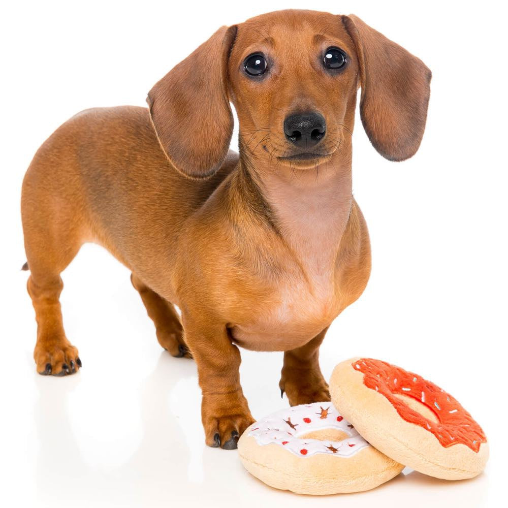 Fuzzyard X'mas Donuts Plush Dog Toy (2pcs) - Kohepets