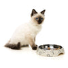 FuzzYard Easy Feeder Cat Dish - Kaos (discontinued) - Kohepets