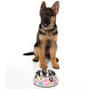 FuzzYard Easy Feeder Dog Bowl - Fresh Cupcakes (discontinued) - Kohepets