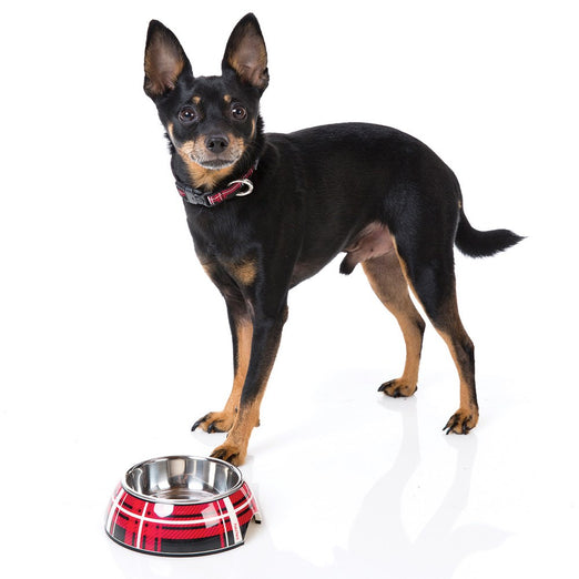 FuzzYard Easy Feeder Dog Bowl -Red Fling (discontinued) - Kohepets