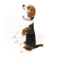 FuzzYard Magnifique Dog Collar (discontinued) - Kohepets