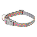 FuzzYard Pop Dog Collar - Kohepets