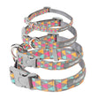 FuzzYard Pop Dog Collar - Kohepets