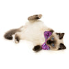 Fuzzyard Pet Bow Tie (Purple) - Kohepets