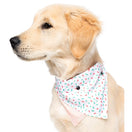 FuzzYard X'mas Speckle Pet Bandana