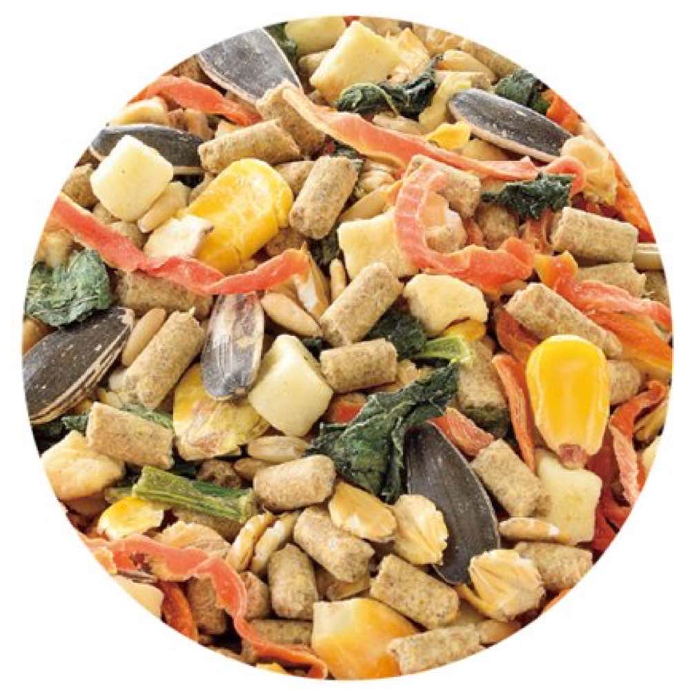 Gex Saishoku Kenbi 7 Ingredient Dwarf Hamster Mix Food 220g Kohepets