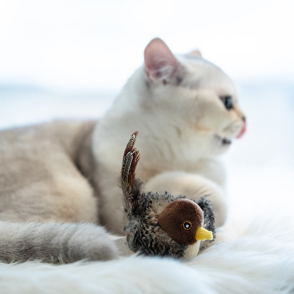 KOHE-VERSARY 10% OFF: GiGwi Melody Chaser Motion Activated Cat Toy (Bird)