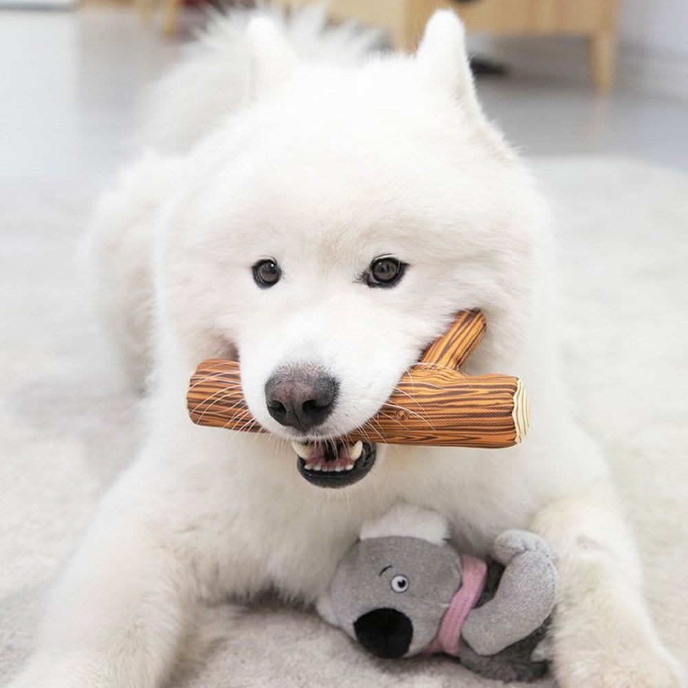 KOHE-VERSARY 10% OFF: GiGwi Shaking Fun 2-In-1 Plush Dog Toy (Koala)