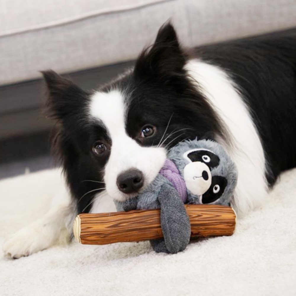 KOHE-VERSARY 10% OFF: GiGwi Shaking Fun 2-In-1 Plush Dog Toy (Raccoon)