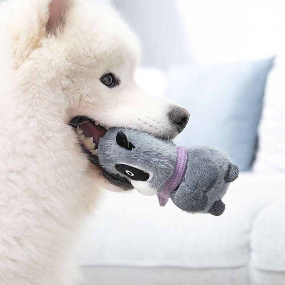 KOHE-VERSARY 10% OFF: GiGwi Shaking Fun 2-In-1 Plush Dog Toy (Raccoon)