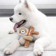 KOHE-VERSARY 10% OFF: GiGwi Shaking Fun 2-In-1 Plush Dog Toy (Sloth)