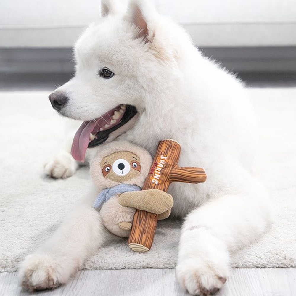 KOHE-VERSARY 10% OFF: GiGwi Shaking Fun 2-In-1 Plush Dog Toy (Sloth)