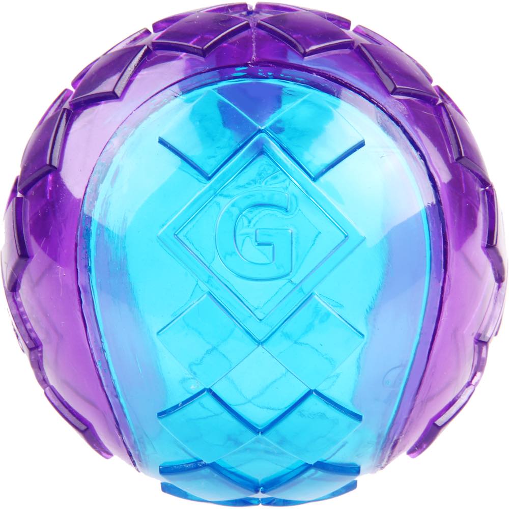 KOHE-VERSARY 10% OFF: GiGwi Squeaky Ball Dog Toy (Purple/Blue)