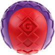 KOHE-VERSARY 10% OFF: GiGwi Squeaky Ball Dog Toy (Red/Purple)