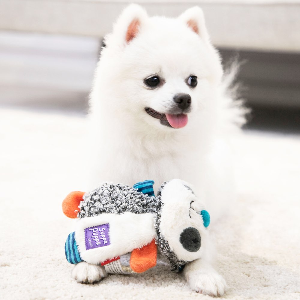 KOHE-VERSARY 10% OFF: GiGwi Suppa Puppa Crinkly Plush Dog Toy (Lion)