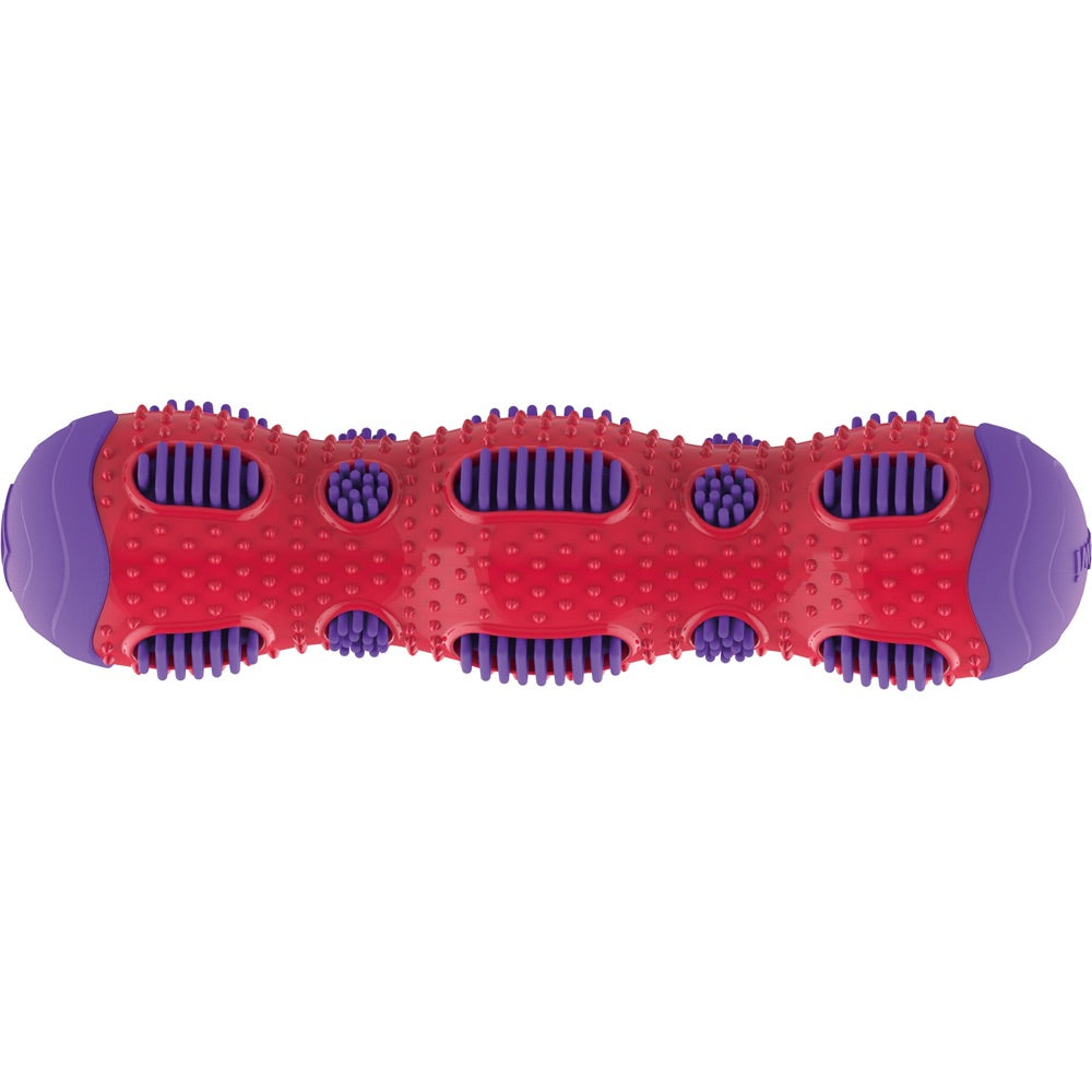 KOHE-VERSARY 10% OFF: GiGwi Toothbrush Stick Rubber Dog Toy