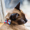 Goood Pet Collars Smarty Bow Handmade Cat Collar - Smarty Street Lights - Kohepets