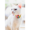 Goood Pet Collars Bloomie Handmade Cat Collar - Autumn Leaves - Kohepets