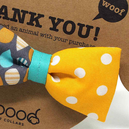 Goood Pet Collars Smarty Bow Handmade Dog Collar - Drip Drop - Kohepets