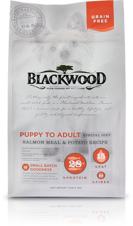 Blackwood Grain-Free Salmon Meal & Potato Dry Dog Food - Kohepets