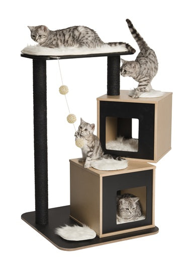Vesper V-Double In Black Cat Condo - Kohepets