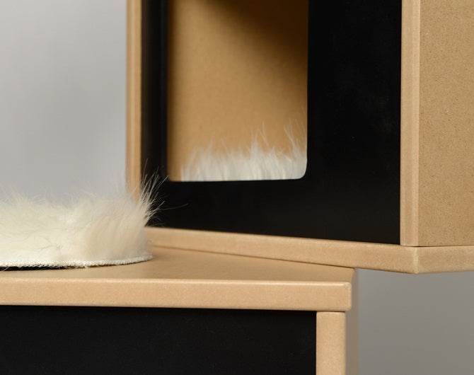 Vesper V-Double In Black Cat Condo - Kohepets