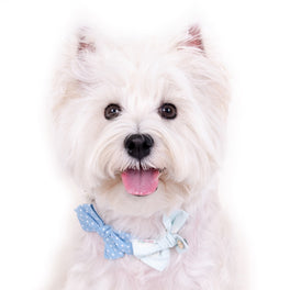 Hey Cuzzies Bow Dog Necklace (Blue) - Kohepets