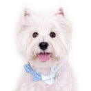 Hey Cuzzies Bow Dog Necklace (Blue)