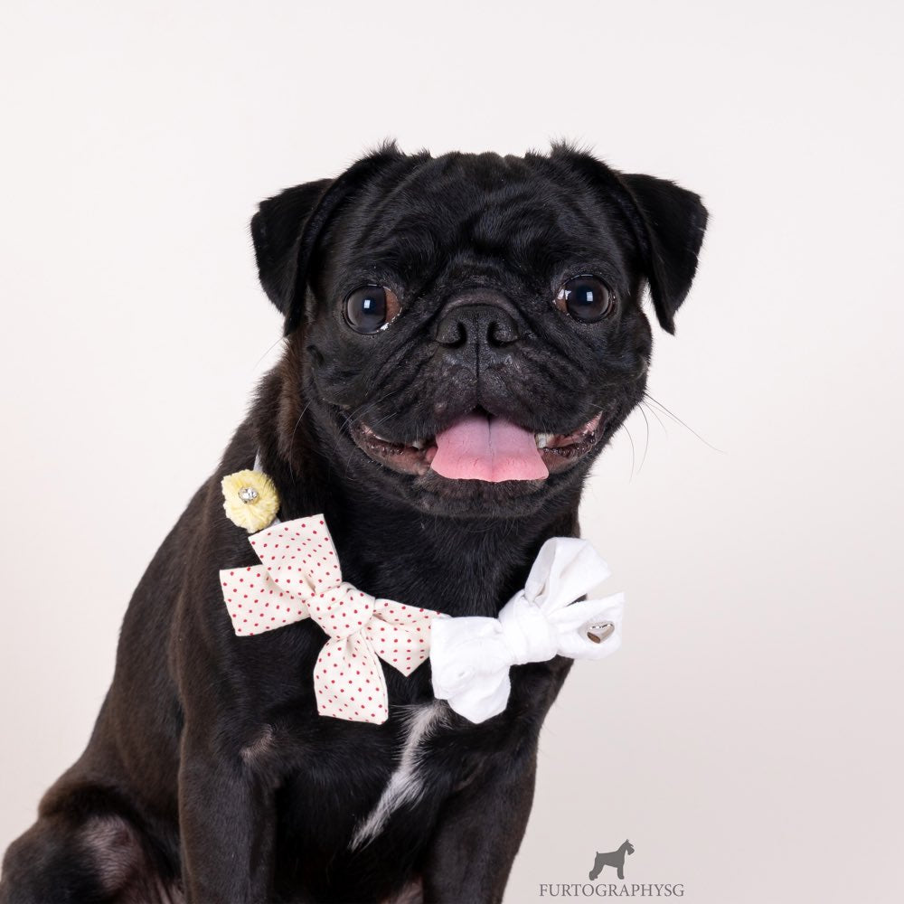 Hey Cuzzies Bow Dog Necklace (Cream) - Kohepets