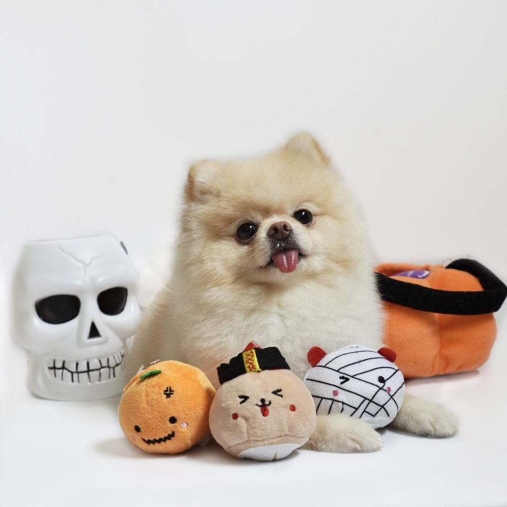 Hey Cuzzies Mini Spooky Mochi Halloween Dog Toy - Kohepets