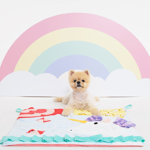 Hey Cuzzies Unicorn PlayQuilt Dreamers Interactive Dog Toy Mat - Kohepets