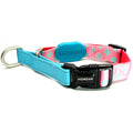 HiDREAM Profusion Martingale Dog Collar (Bobby) - Kohepets