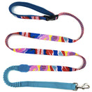 HiDREAM Profusion Multifunctional Dog Leash (Mountain Stamp)