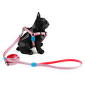 Hidream Profusion Y-Harness & Leash Set For Dogs (Bobby) - Kohepets