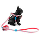 Hidream Profusion Y-Harness & Leash Set For Dogs (Bobby) XS