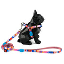 Hidream Profusion Y-Harness & Leash Set For Dogs (Mountain Stamp) XS