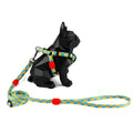 Hidream Profusion Y-Harness & Leash Set For Dogs (Sunrise) - Kohepets