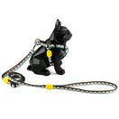 Hidream Profusion Y-Harness & Leash Set For Dogs (Totem) XS