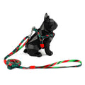 Hidream Profusion Y-Harness & Leash Set For Dogs (Watermelon) - Kohepets