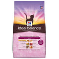 Hill's Ideal Balance Natural Chicken & Brown Rice Adult Dry Cat Food - Kohepets