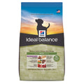Hill's Ideal Balance Natural Lamb & Brown Rice Adult Dry Dog Food - Kohepets
